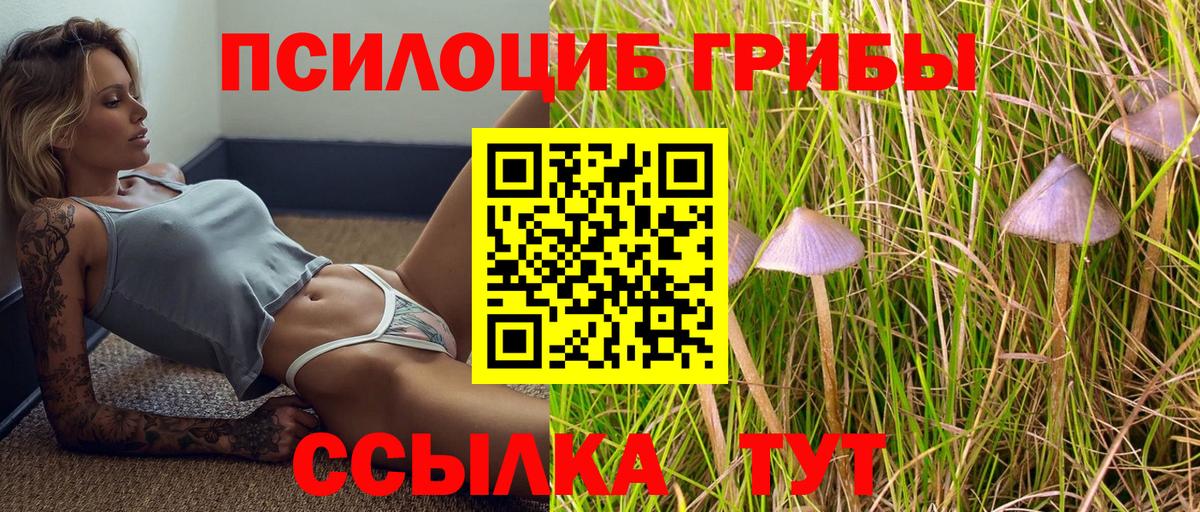 Подольск  Галлюциногенные грибы ЛСД  Вход с VPN 
