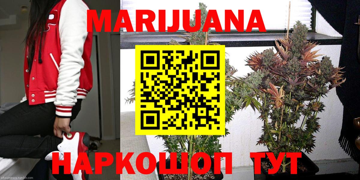 Бошки Шишки конопля Подольск