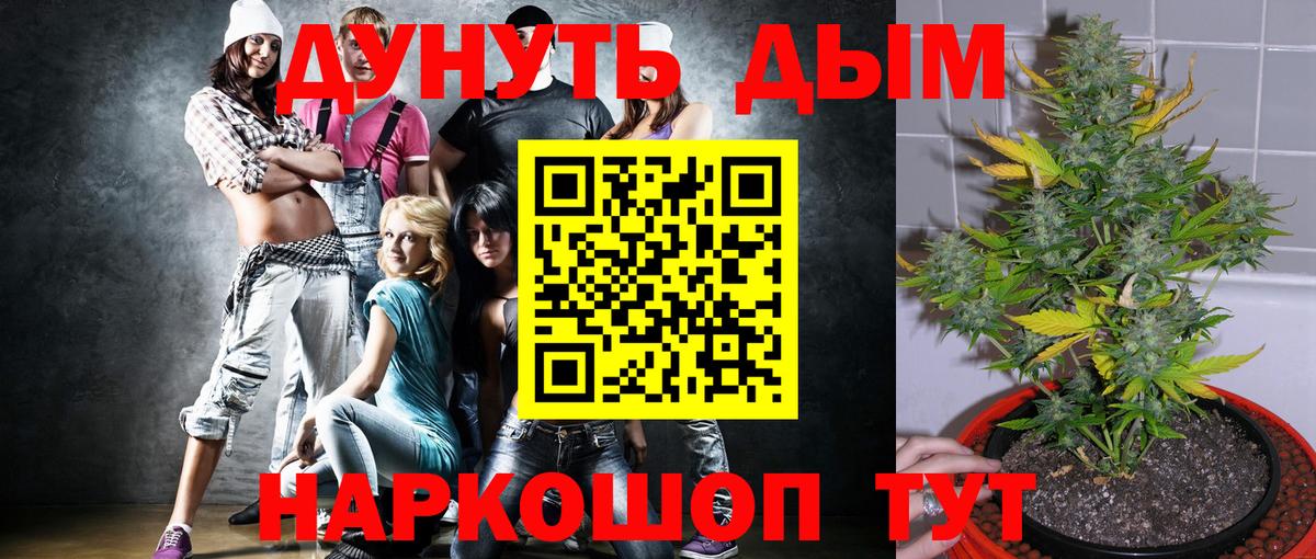 Подольск  Канабис ГИДРОПОН  Вход с VPN  Конопля MAZAR 
